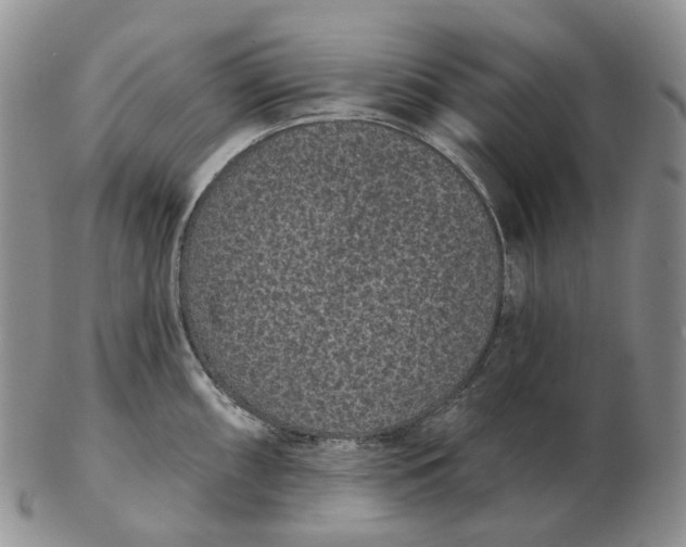 X0000103151098200809121811