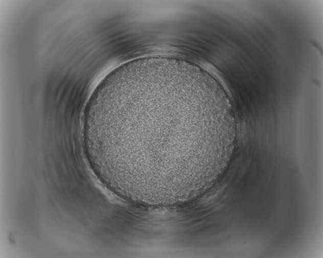 X0000103151099200809121811