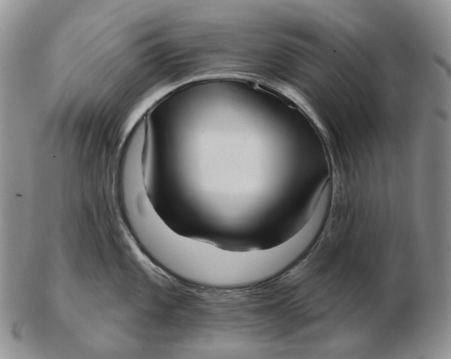 X0000103151101200809121810