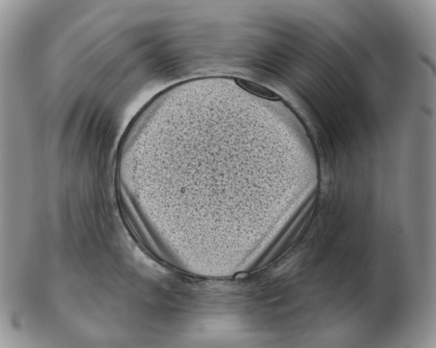 X0000103151102200809121810