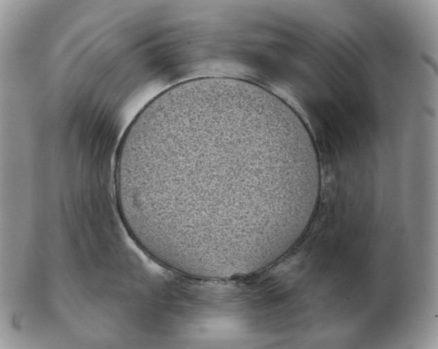 X0000103151103200809121810