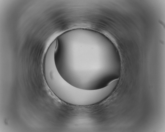 X0000103151104200809121810