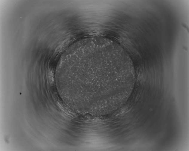 X0000103151106200809121810