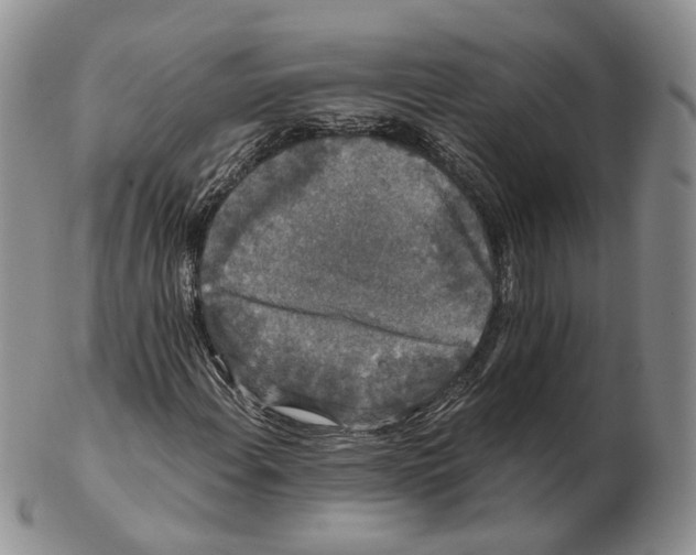 X0000103151108200809121810