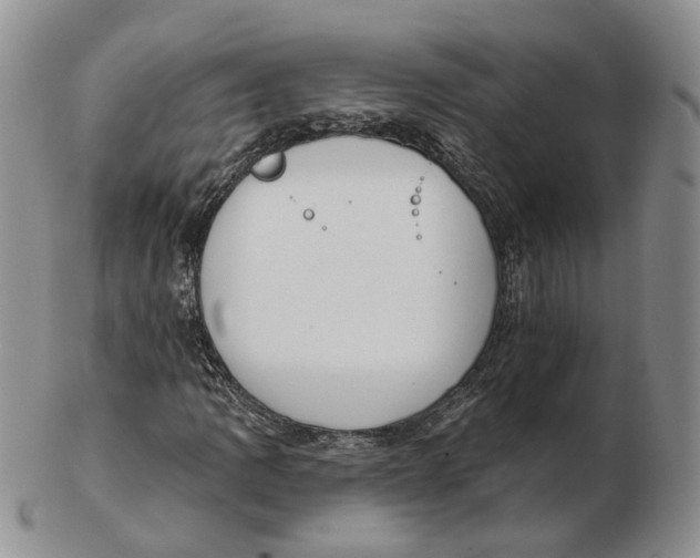 X0000103151109200809121810