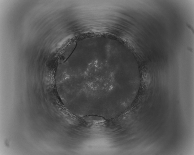 X0000103151110200809121810