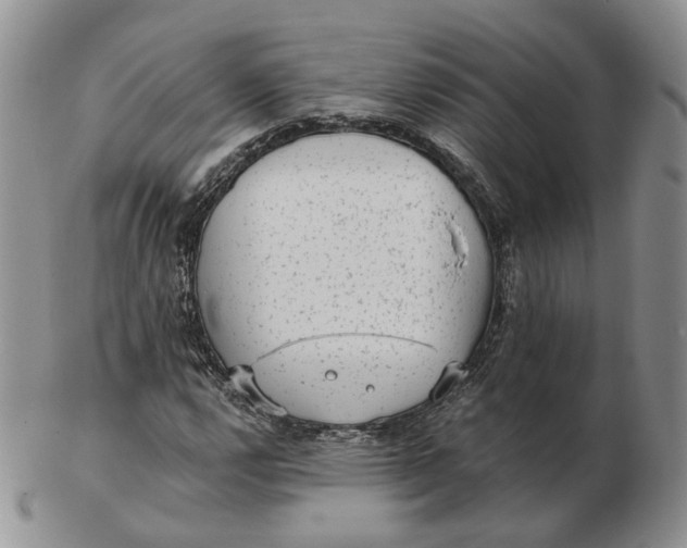 X0000103151112200809121810