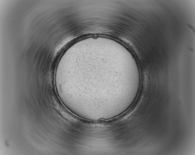 X0000103151114200809121810