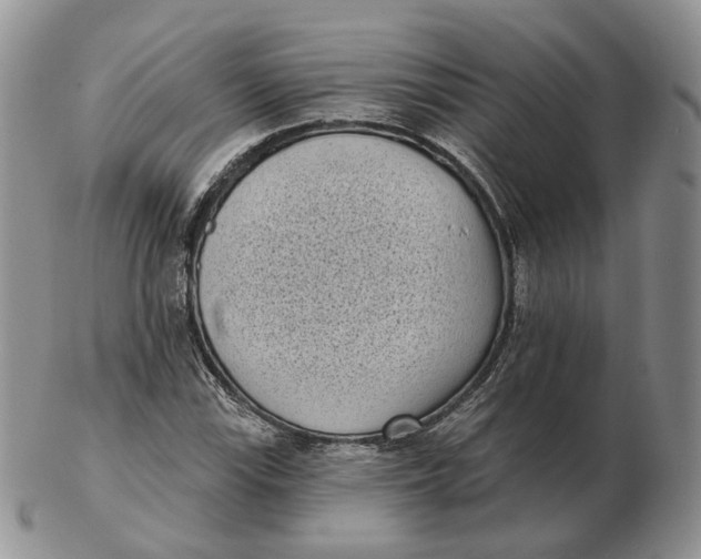 X0000103151115200809121810