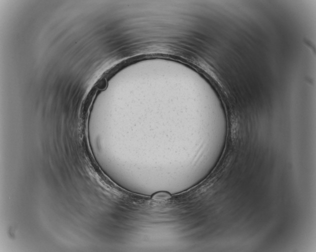 X0000103151116200809121810