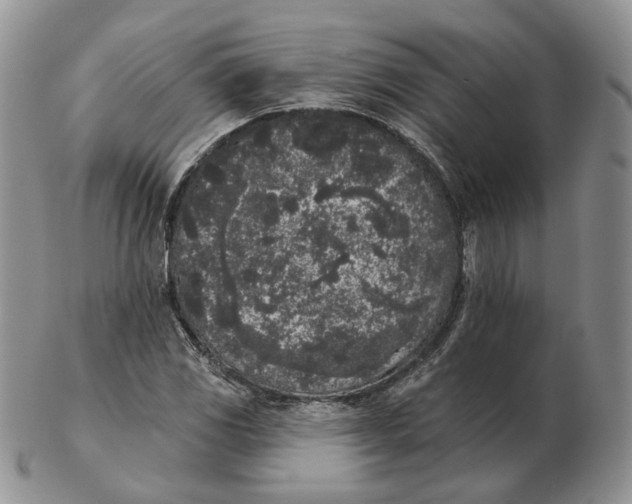 X0000103151117200809121810