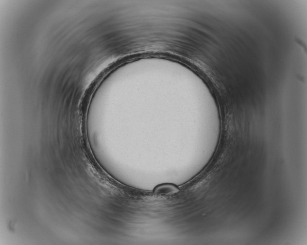 X0000103151118200809121810