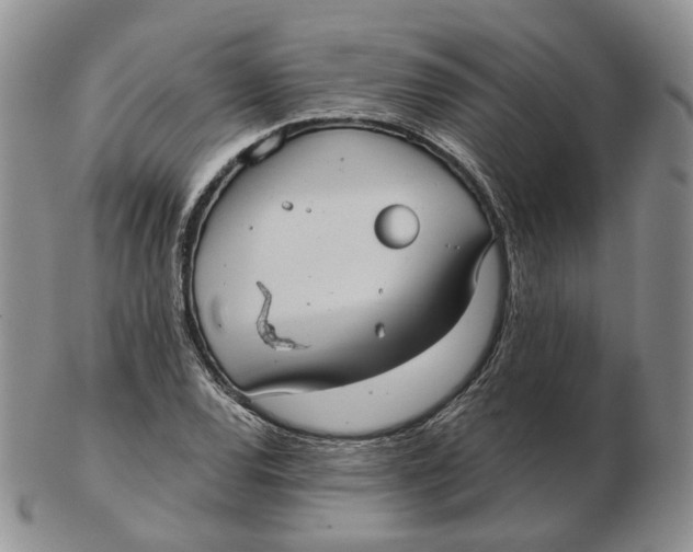 X0000103151120200809121810