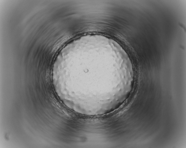 X0000103151121200809121810