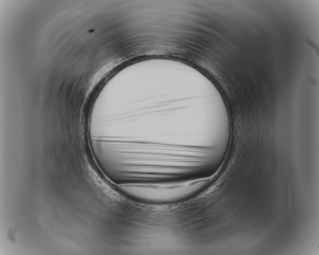 X0000103151122200809121810