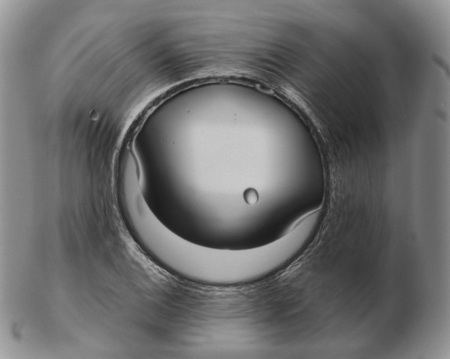 X0000103151124200809121810