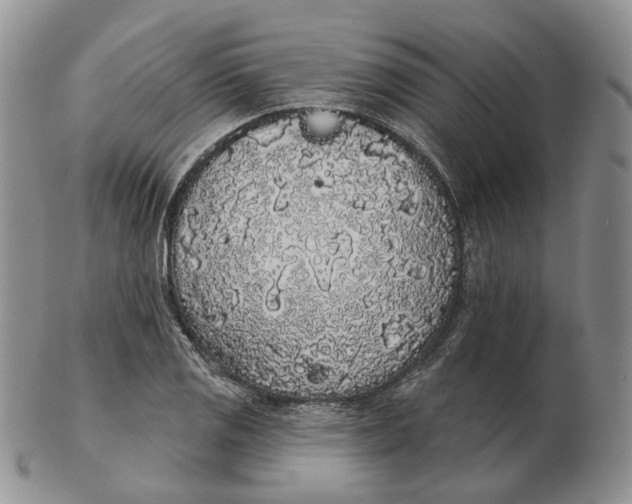 X0000103151125200809121810