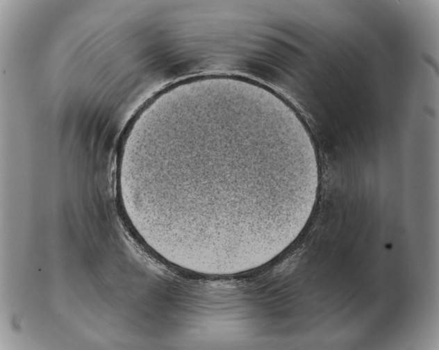 X0000103151126200809121810