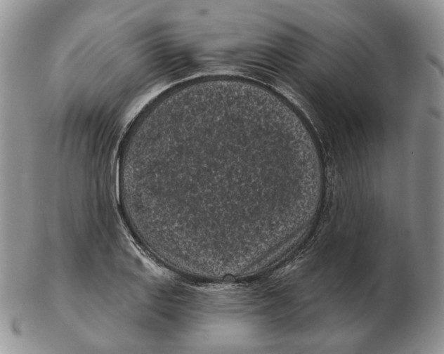 X0000103151127200809121810