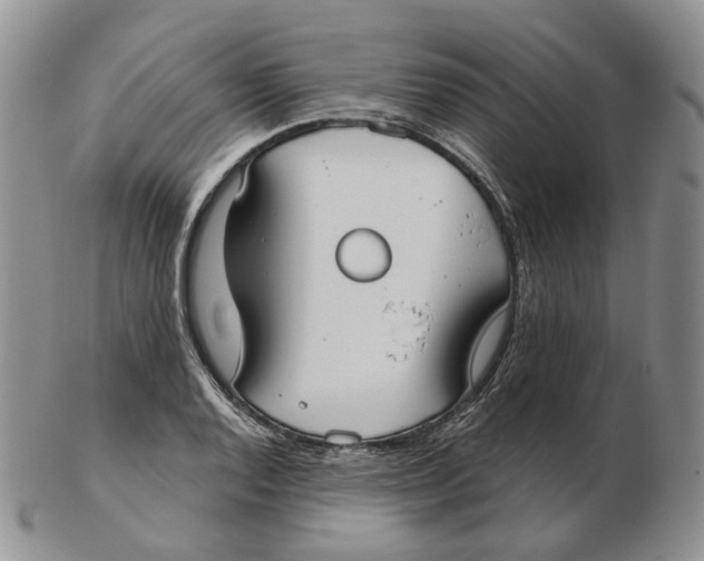 X0000103151128200809121810