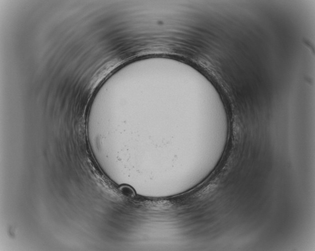 X0000103151129200809121810