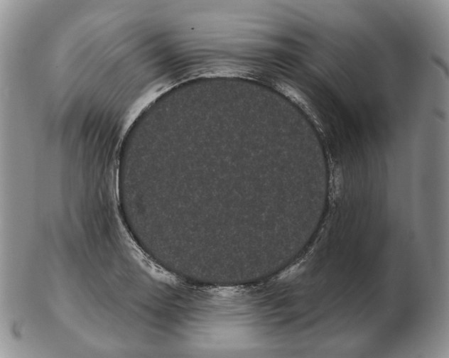 X0000103151130200809121810