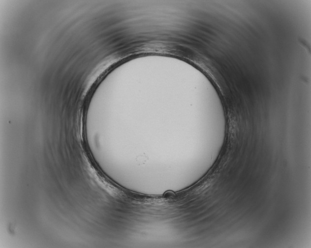 X0000103151131200809121810