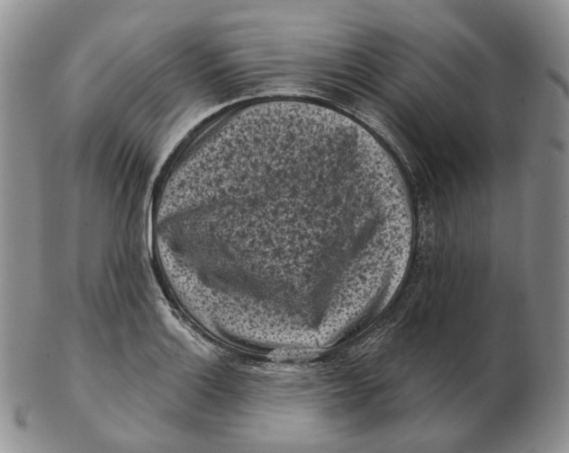 X0000103151132200809121810