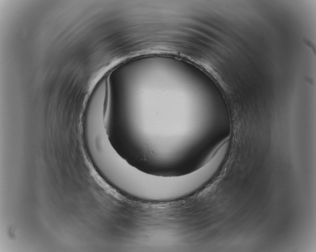 X0000103151134200809121810