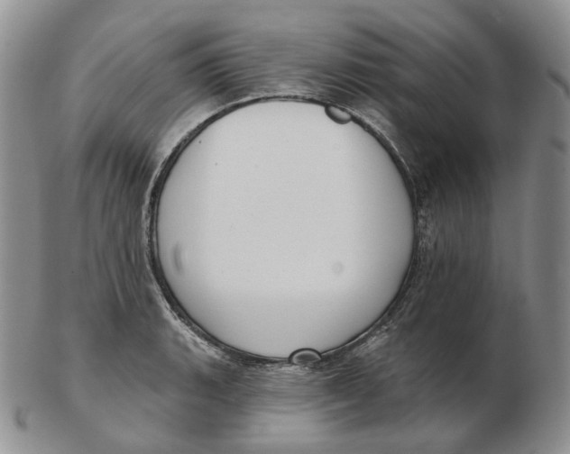 X0000103151135200809121810