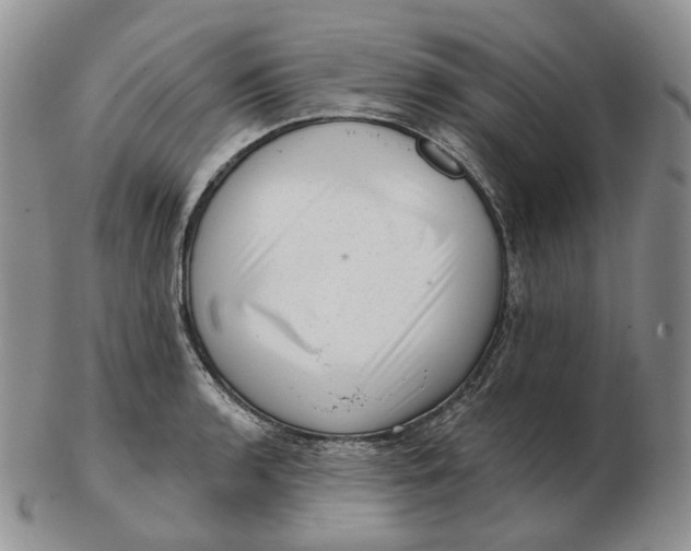 X0000103151136200809121810