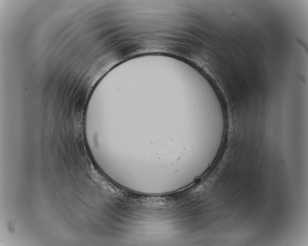 X0000103151137200809121810