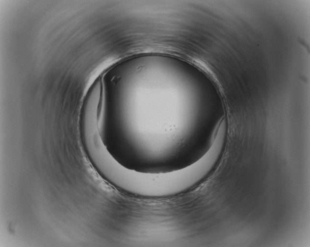 X0000103151138200809121810