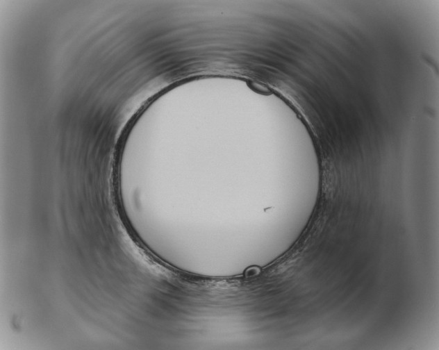 X0000103151139200809121810