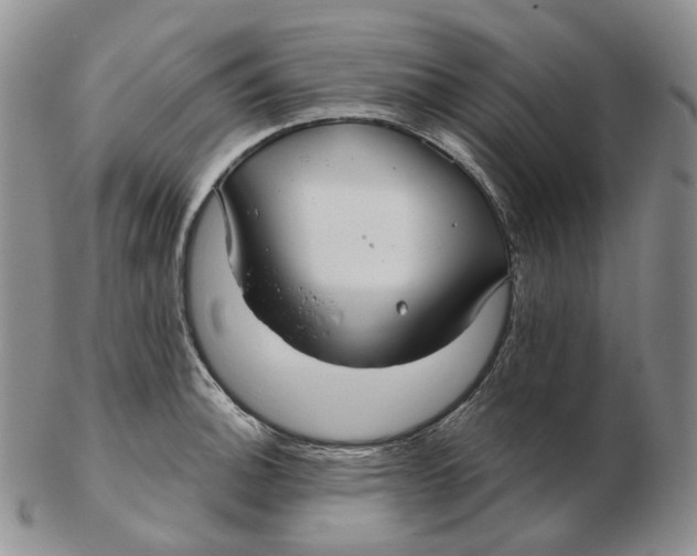 X0000103151140200809121810