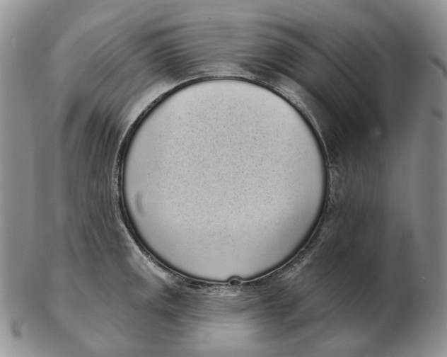 X0000103151141200809121810