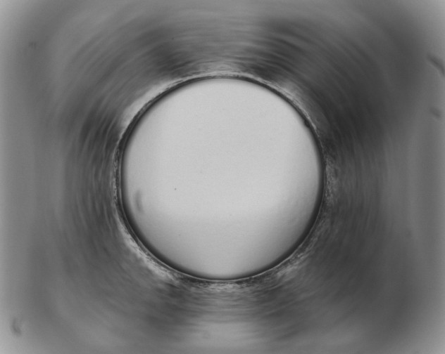 X0000103151142200809121810