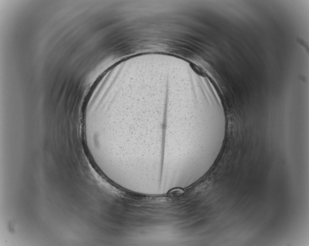 X0000103151143200809121810