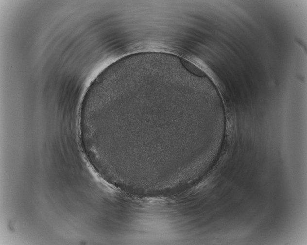 X0000103151144200809121810