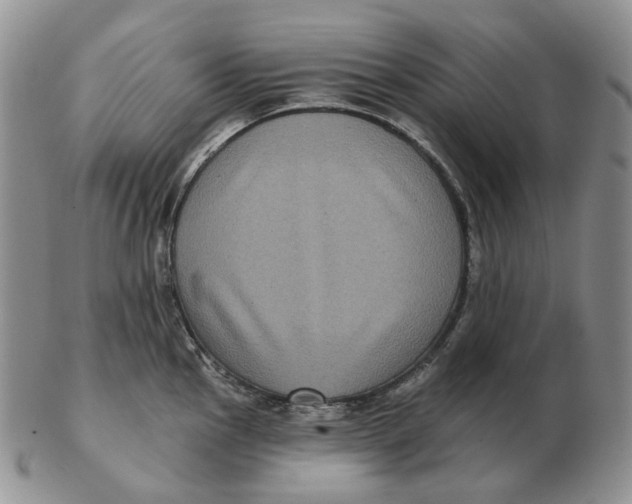 X0000103151145200809121810