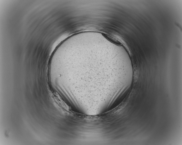 X0000103151146200809121810