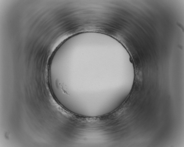 X0000103151147200809121810