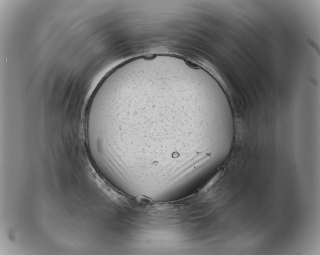 X0000103151148200809121810