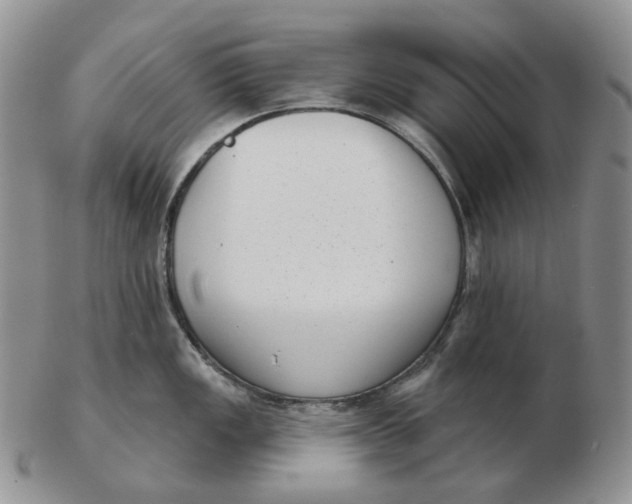 X0000103151149200809121810