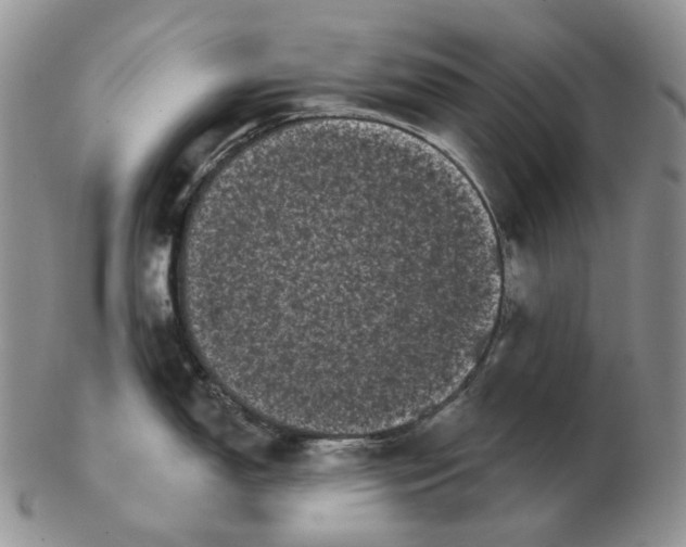 X0000103151150200809121810