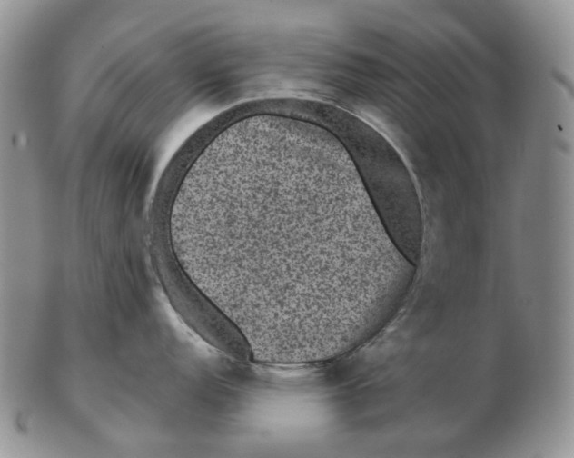 X0000103151152200809121810