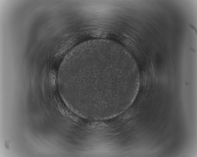 X0000103151154200809121810