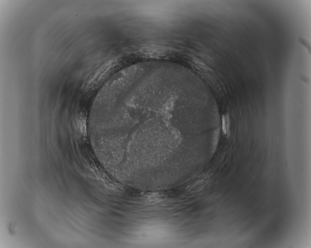 X0000103151155200809121810