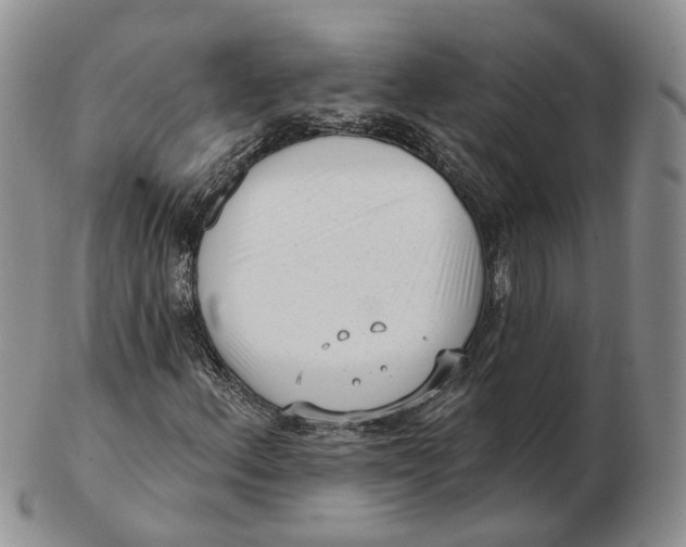 X0000103151156200809121810