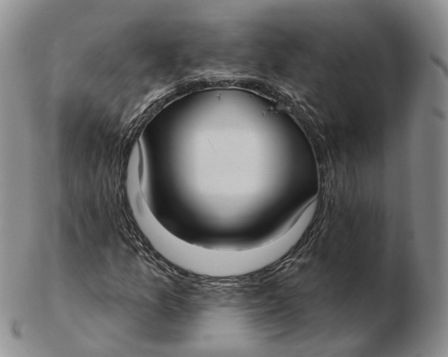 X0000103151157200809121810